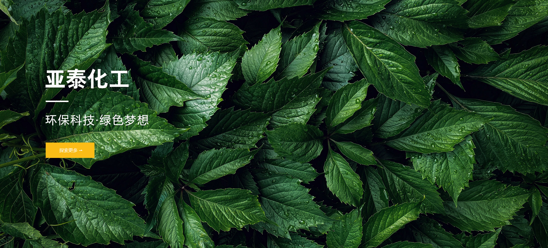 亚泰化工-永康亚泰-永康亚泰化工-亚泰专业环保金属表面处理专家
