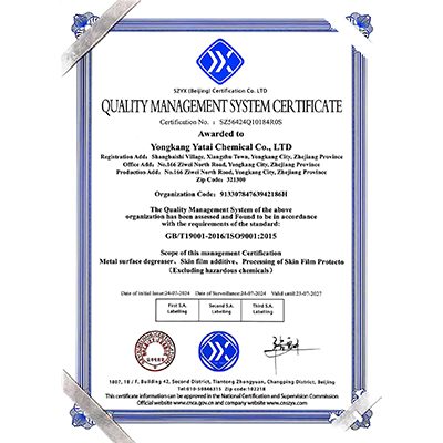 久久99精品国产99久久